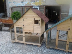 11202116_10205153755256688_5763462088683631252_n