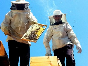 10981352_10206120584747348_7748293533801739224_n